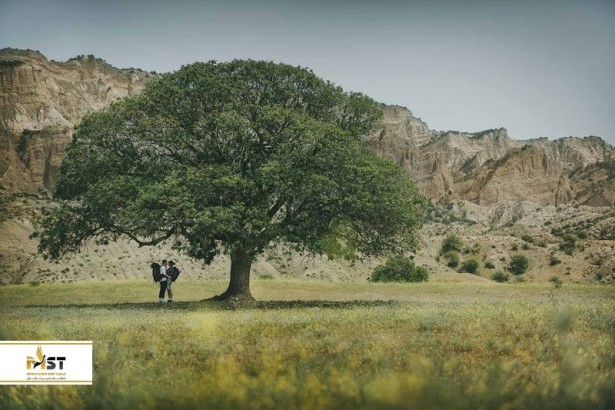 تجربه فعالیت‌های پاییزه در گرجستان