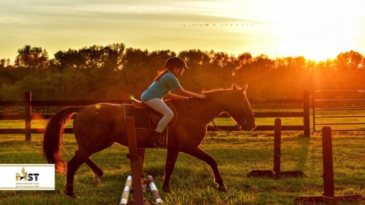 یک روز خاطرهانگیز در باشگاه سوارکاری باتومی یک روز خاطرهانگیز در باشگاه سوارکاری باتومی