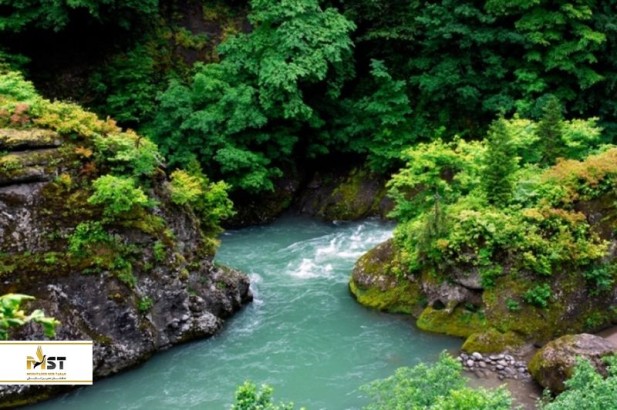 گشت و گذار در پارک جنگلی متیرالا باتومی