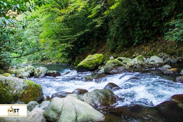 پارک‌های ملی معروف گرجستان