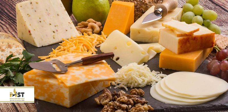 پنیرهای گرجی بهترین سوغات تور گرجستان در جشنواره پنیر قفقاز