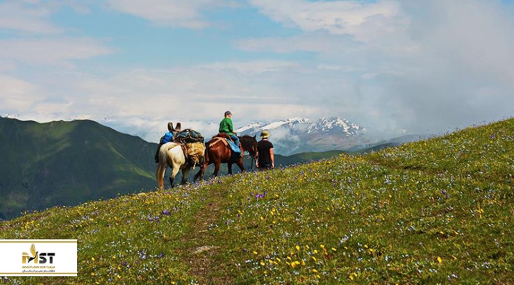 تور اسب‌سواری در کاختی، گرجستان
