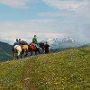 تور اسب‌سواری در کاختی، گرجستان