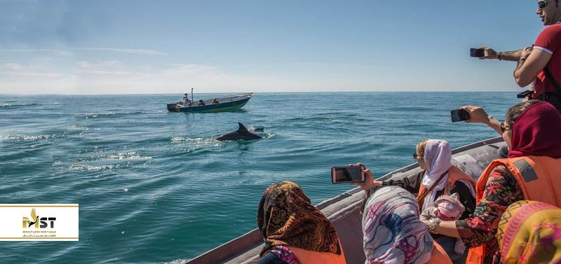 مناسب‌ترین زمان سفر به قشم از جنبه‌های مختلف