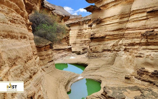 معرفی عجایب هفتگانه در سفر به قشم