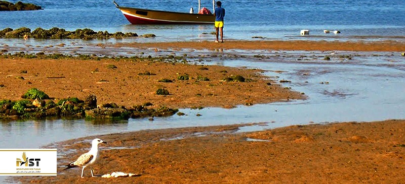 بازدید از جزیره لارک در سفر به قشم