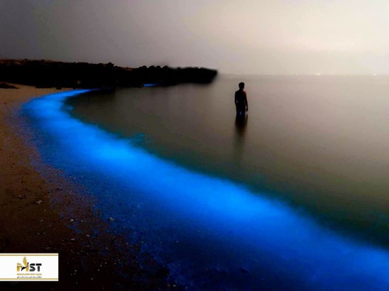 بهترین فعالیتهای شبانه در قشم بهترین فعالیتهای شبانه در قشم