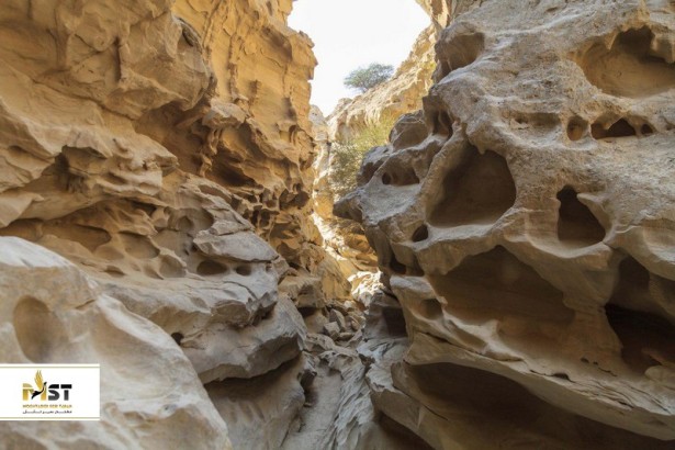 معرفی تنگه چاکاویر قشم