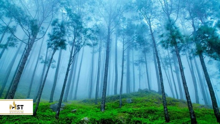 ۶ جاذبه گردشگری در نزدیکی ناینیتال هند 