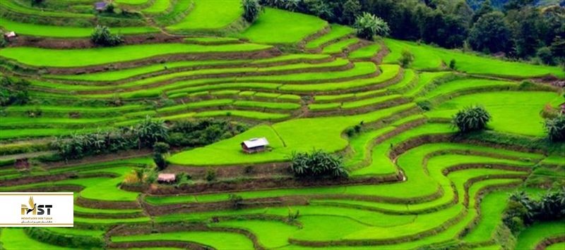 معرفی ۷ جاذبه طبیعی و زیبای هند