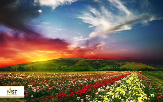 سفر به هند در ماههای مختلف سال سفر به هند در ماههای مختلف سال