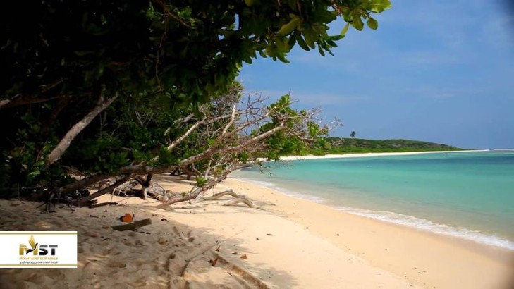 جزایر شگفتانگیز هند برای تعطیلاتی خاطرهانگیز جزایر شگفتانگیز هند برای تعطیلاتی خاطرهانگیز