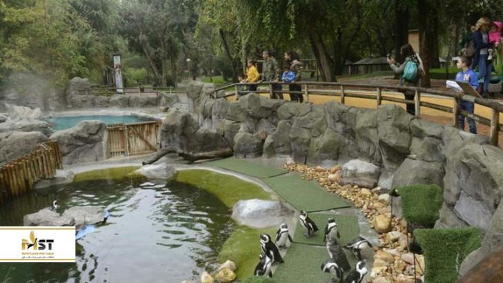 راهنمای سفر خانوادگی با کودکان به جیپور