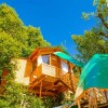 بهترین ریزورت‌های خانه درختی در هند