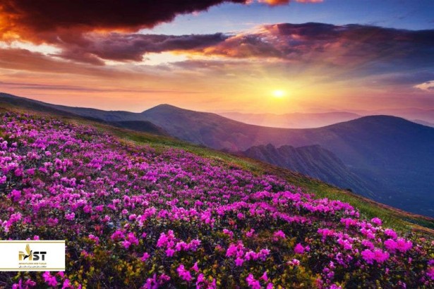 بهترین فضاهای سبز در هند: قسمت دوم بهترین فضاهای سبز در هند: قسمت دوم