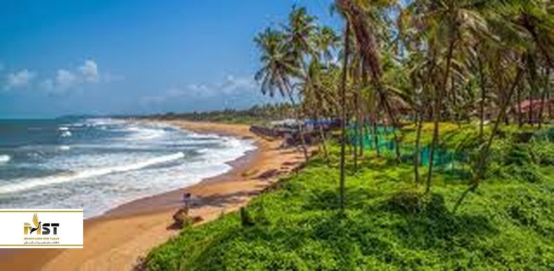 ۶ رستوران دریایی در سفر به گوا 