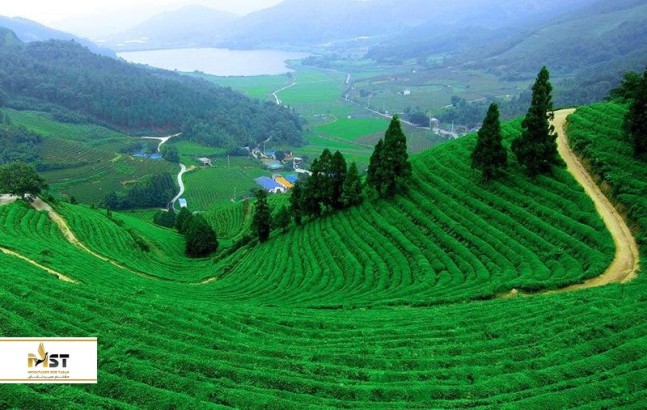 برای تعطیلات با خانواده در هند کجا برویم؟