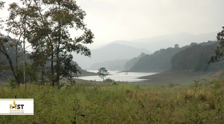 بازدید از پارک‌های ملی هند (بخش دوم)