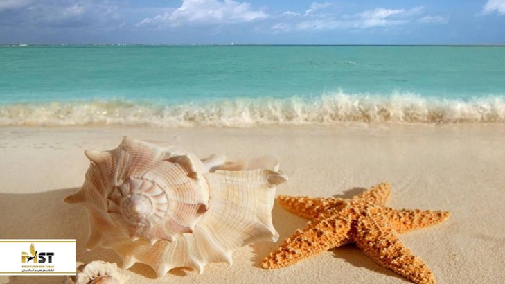 تور کیش یا تور قشم را برای سفر انتخاب کنیم؟