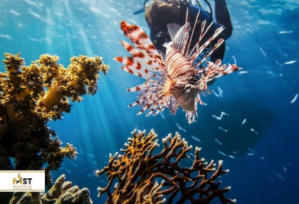 طبیعت گردی در ایران در سال ۱۴۰۲: قسمت دوم