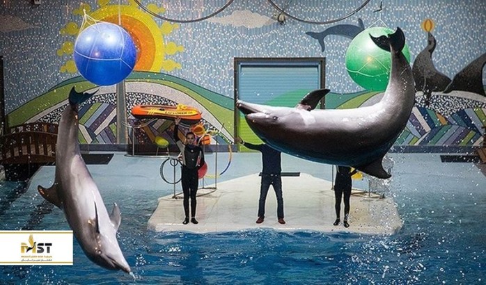 دلفیناریوم‌های ایران در کیش و تهران