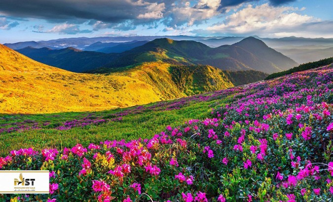 زیباترین گلزارهای ایران را بشناسید