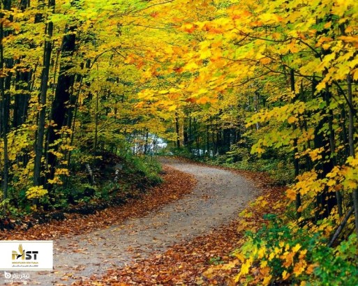 آشنایی با زیباترین پارک‌های جنگلی ایران