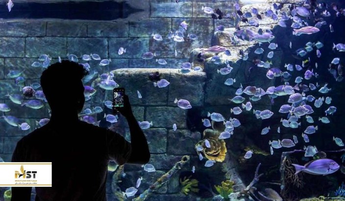 جذاب‌ترین آکواریوم‌های ایران