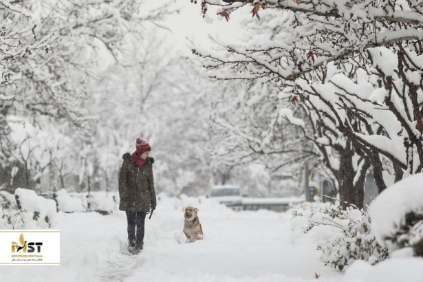 تفریحات زمستانی در سفرهای داخلی تفریحات زمستانی در سفرهای داخلی