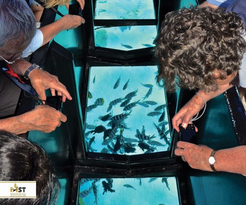 سفر به کیش و تفریح در کشتی‌های آکواریومی