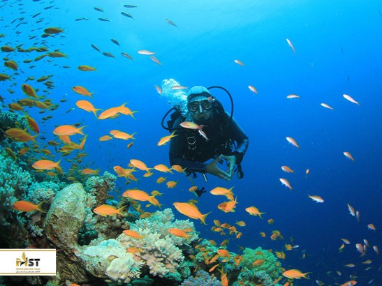 بهترین نقاط غواصی در ایران (بخش اول)