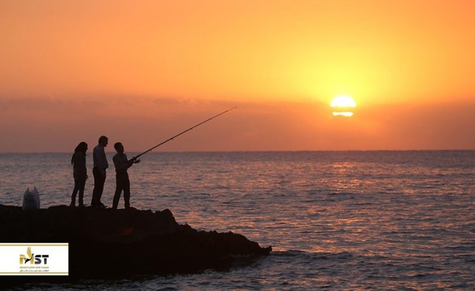 معرفی جاذبه‌های طبیعی جزیره کیش