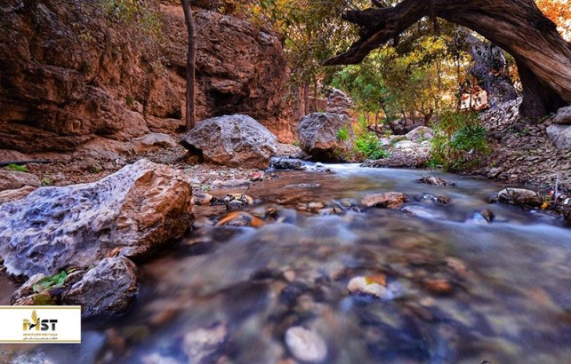 گردشی یک روزه جذاب در تور مشهد گردشی یک روزه جذاب در تور مشهد