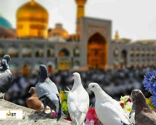 نکات کلیدی که باید قبل از رزرو تور مشهد بدانید