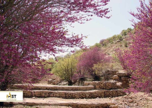 آدرس و دسترسی به جاذبههای گردشگری مشهد (بخش اول) آدرس و دسترسی به جاذبههای گردشگری مشهد (بخش اول)