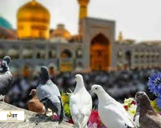 پارک سرزمین موج های آبی مشهد پارک سرزمین موج های آبی مشهد