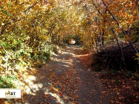 روستای زشک مشهد، مقصد جذاب گردشگری استان خراسان رضوی روستای زشک مشهد، مقصد جذاب گردشگری استان خراسان رضوی