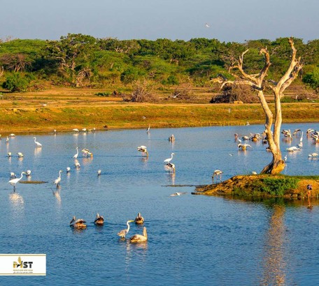 زیباترین پارک های ملی سریلانکا زیباترین پارک های ملی سریلانکا