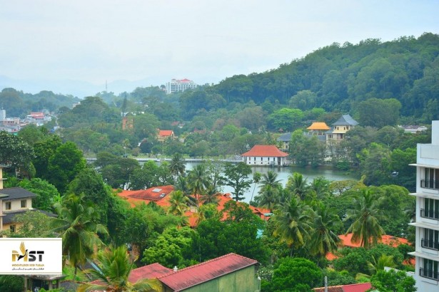 ۱۲ کار جذاب در سفر به کندی