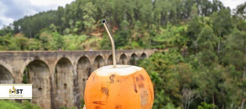 هزینه سفر به سریلانکا چقدر است؟