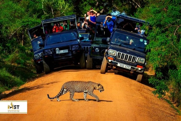 بهترین مقاصد سریلانکا برای سفرهای خانوادگی