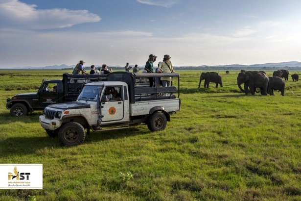 نکاتی درباره بازدید از پارک‌های ملی سریلانکا