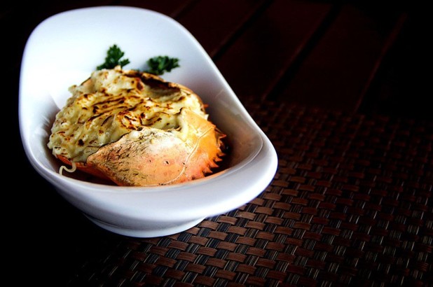 رستوران های دریایی در کلمبو