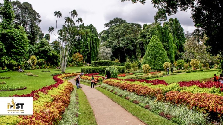 راهنمای بهترین کارها در سفر به کندی