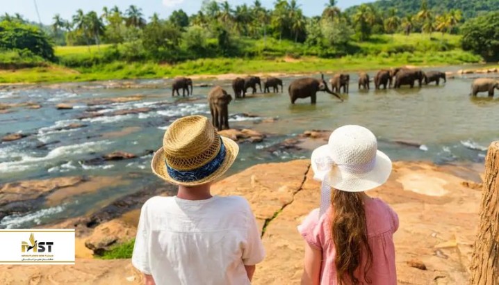 بهترین تفریحات خانوادگی با بچه‌ها در سریلانکا