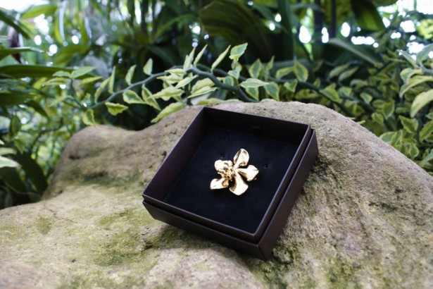 بهترین سوغات سنگاپور