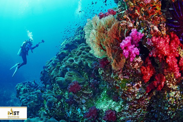 بهترین سایت‌های غواصی در تایلند