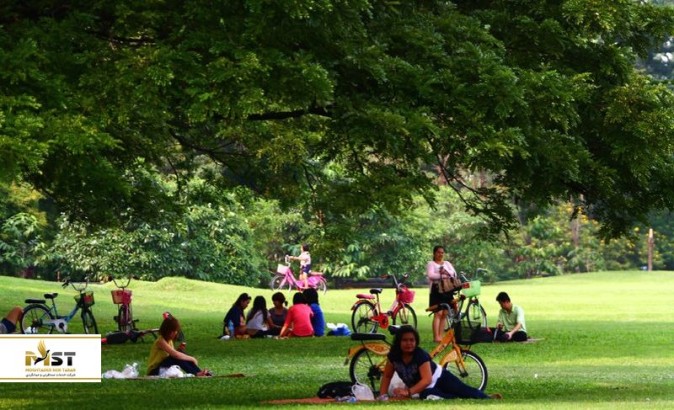 باغ پروانه‌های بانکوک، لمس زیبایی طبیعت