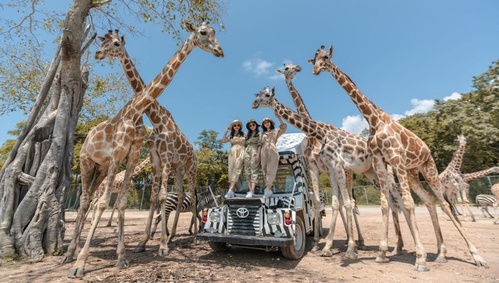 تفریح در سافاری ورلد بانکوک