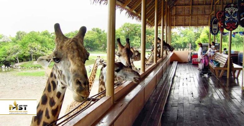 گشت و گذاری خاص در سافاری ورلد، هیجان‌انگیزترین پارک و باغ‌وحش تایلند